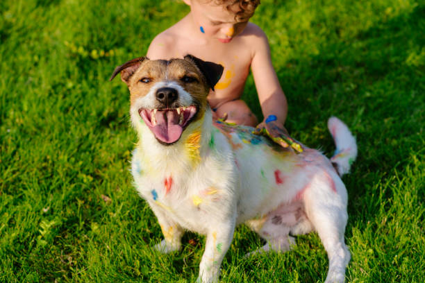 Read more about the article Is Acrylic Paint Toxic to Dogs