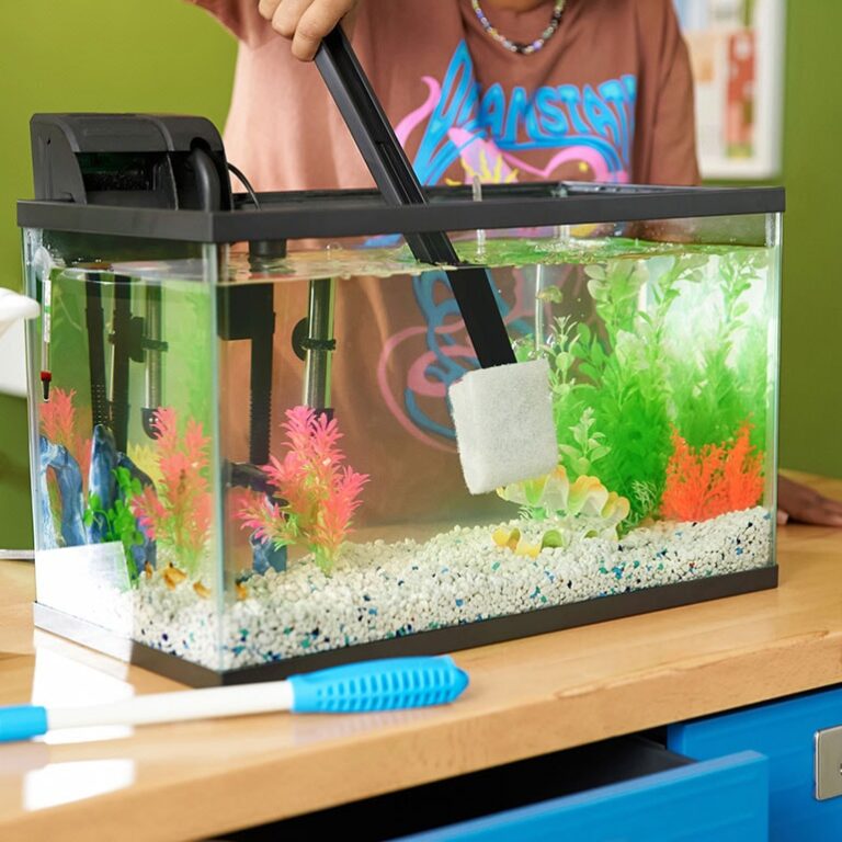 How to Clean Acrylic Aquarium?